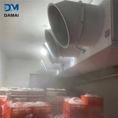 Cameră Congelator Cameră Plimbare în Congelator Camera Refrigerată Pentru Reținerea Carnei Pește